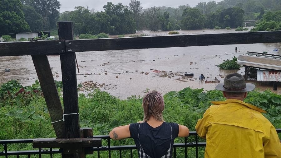 Loop Growers farm in flood