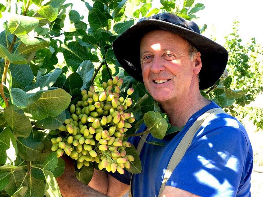 Wahrina Farm Pistachios (David)