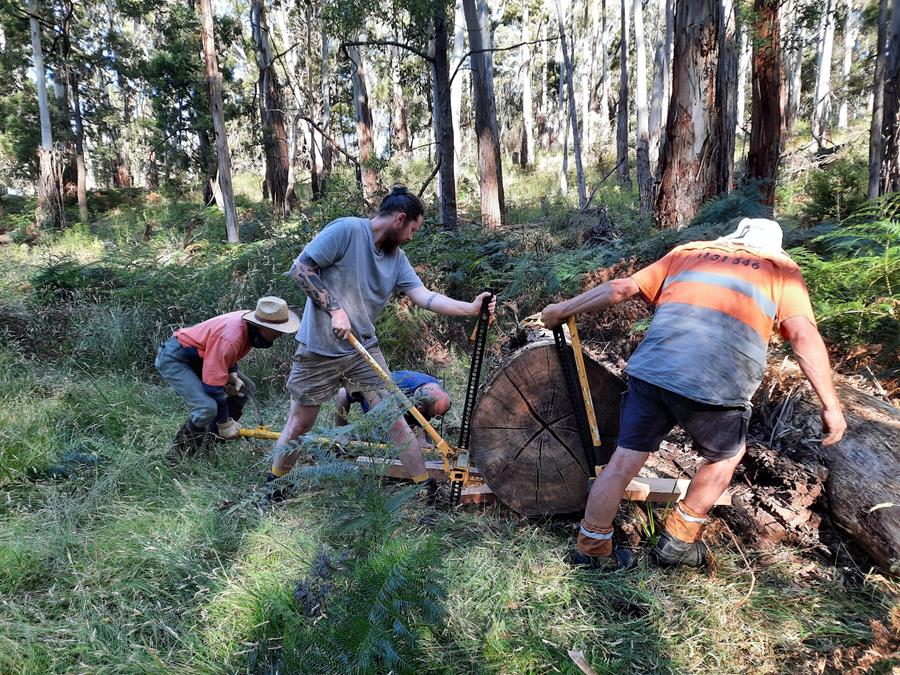 Ecological logging, CERES Fair Wood