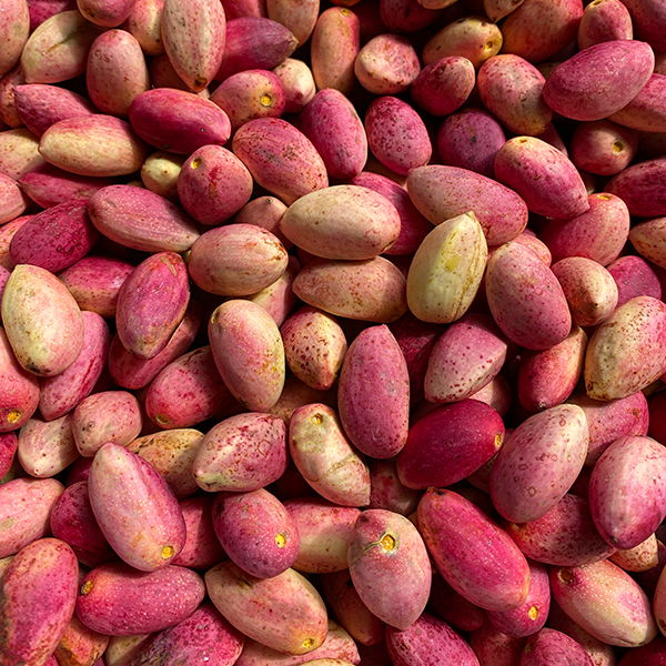Fresh pistachios from Wahrina