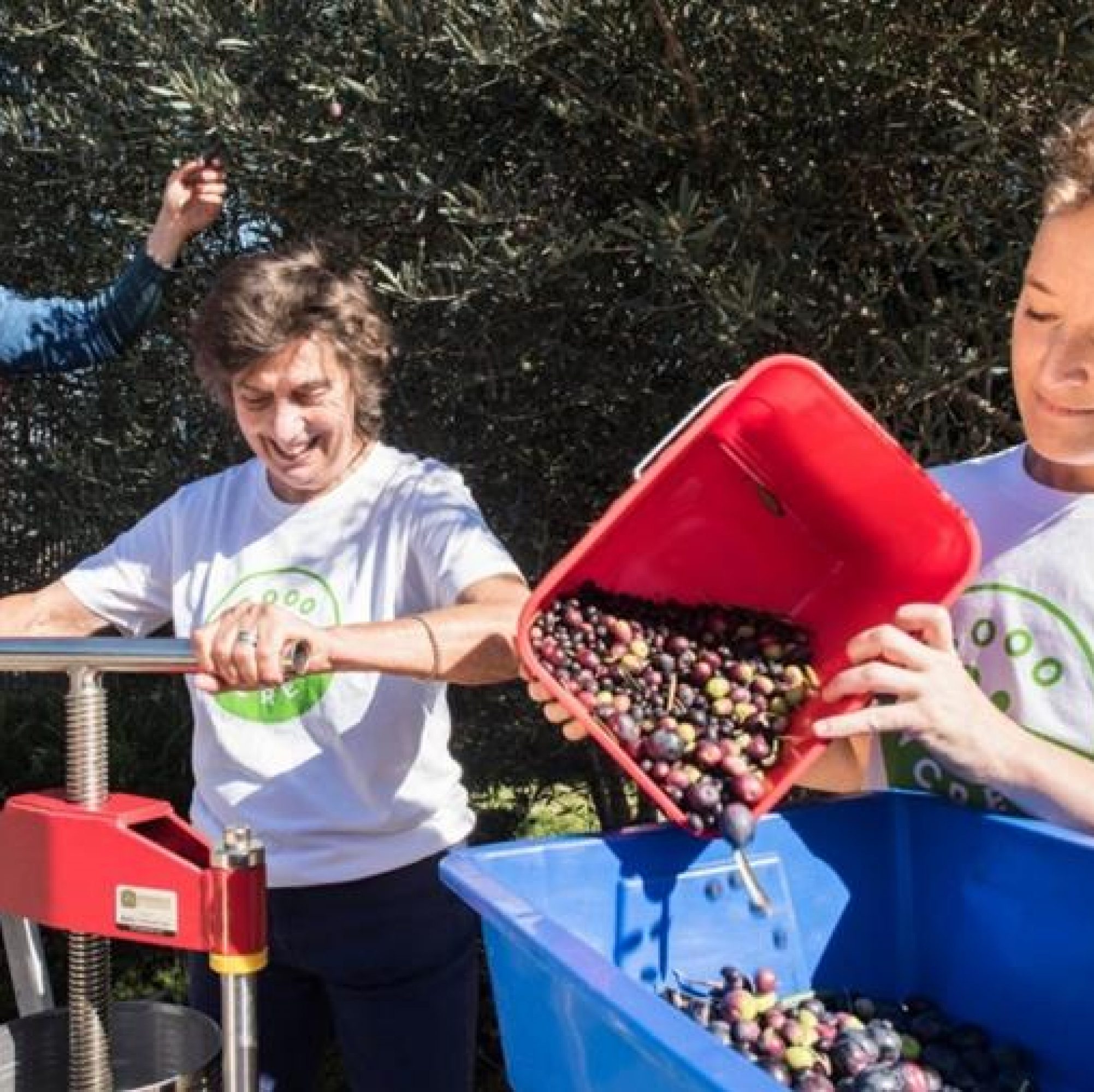 CERES 3000Acres Olive to Oil