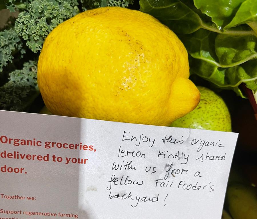 community-lemons - CERES Fair Food Community lemons going out in boxes!