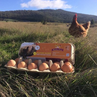 Abundance Farm eggs