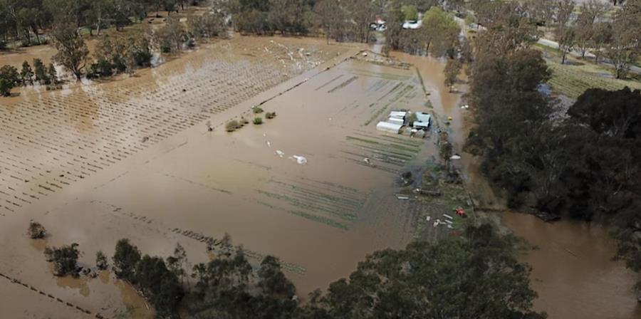 SomersetHeritageFarminFlood22 - CERES Fair Food Somerset Heritage Produce floods 2022