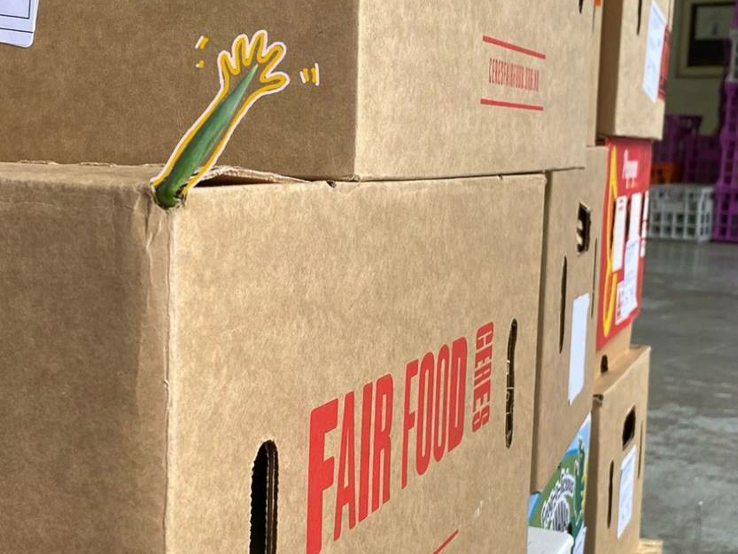 Fair Food boxes and a veggie arm
