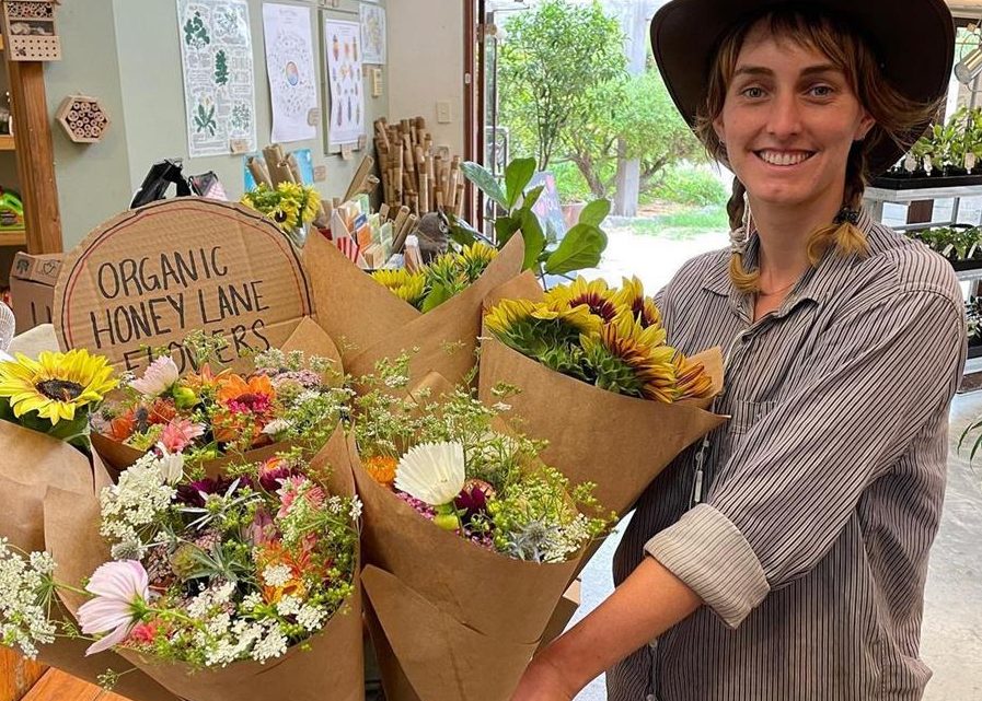 Honey Lane flowers at CERES