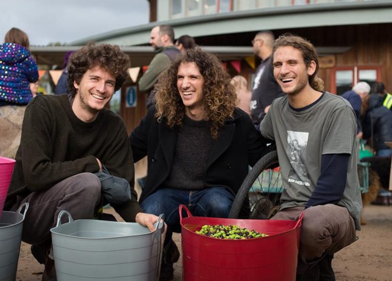 Olives to Oil - Olive stories