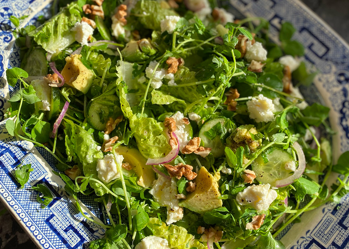 Big Green Salad 3 - CERES Fair Food