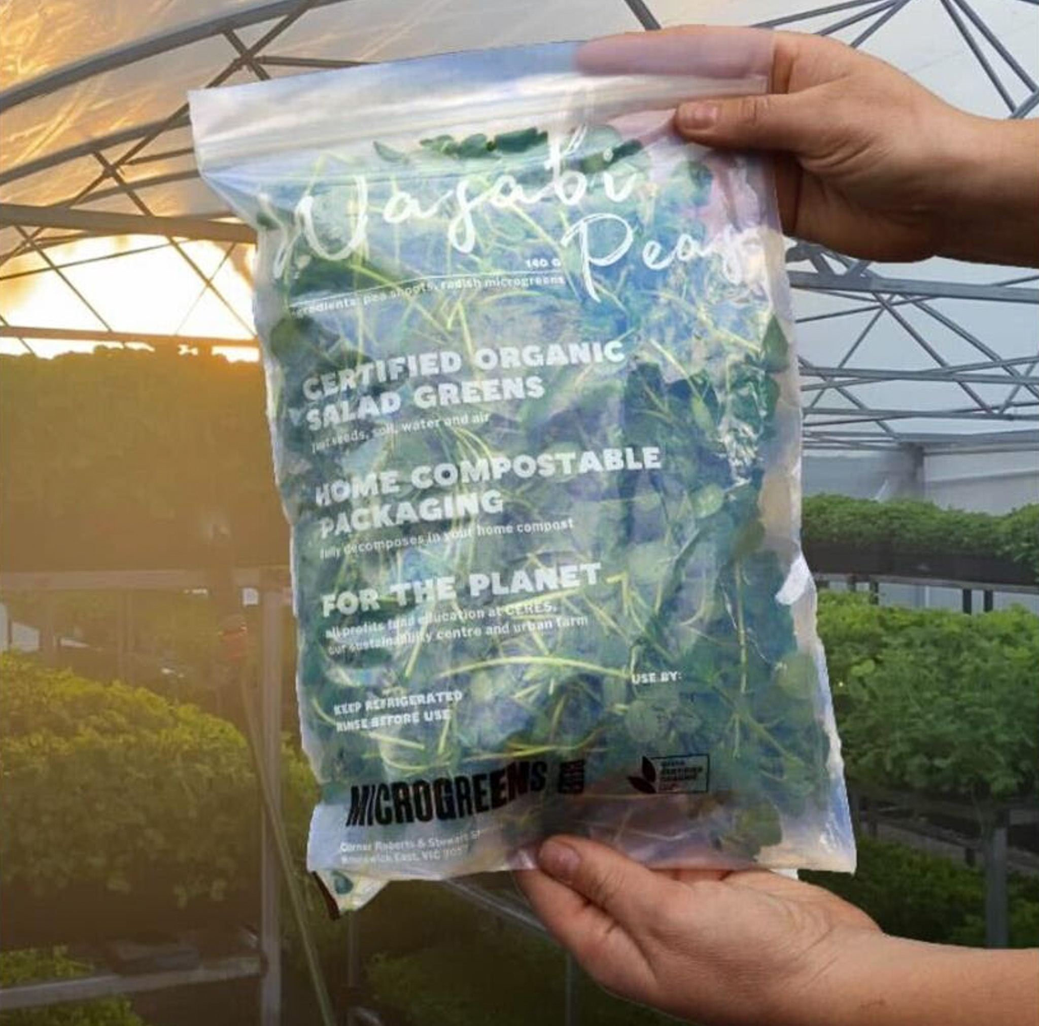 CERES Microgreens, new packs and new home at CERES Brunswick