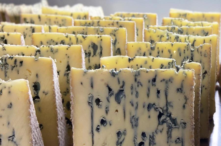 BlueCheese-BerryCreek - CERES Fair Food Blue cheese from Berrys Creek Cheese Co