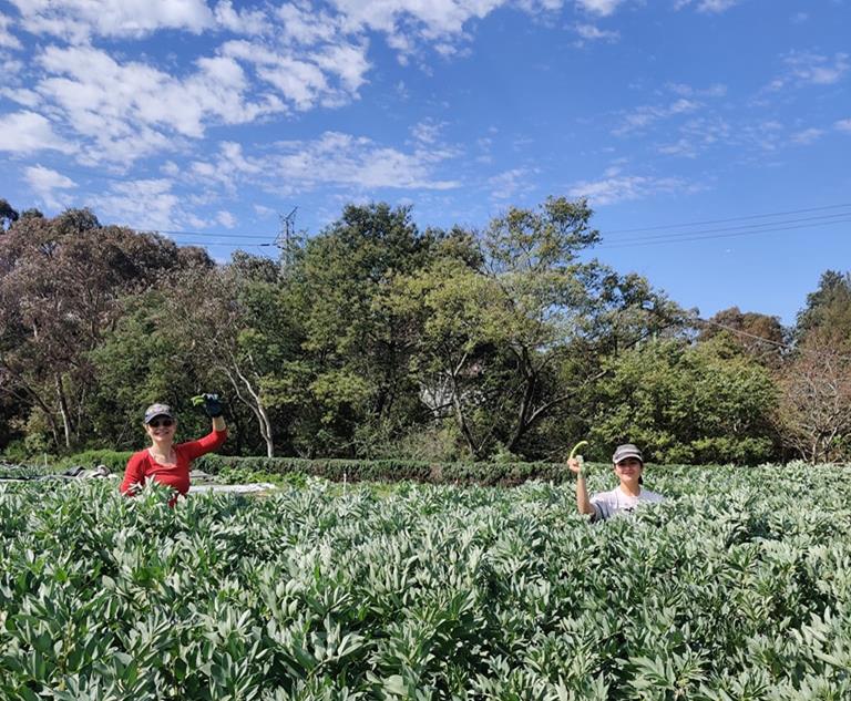 Farmers in broadies at Joes Garden