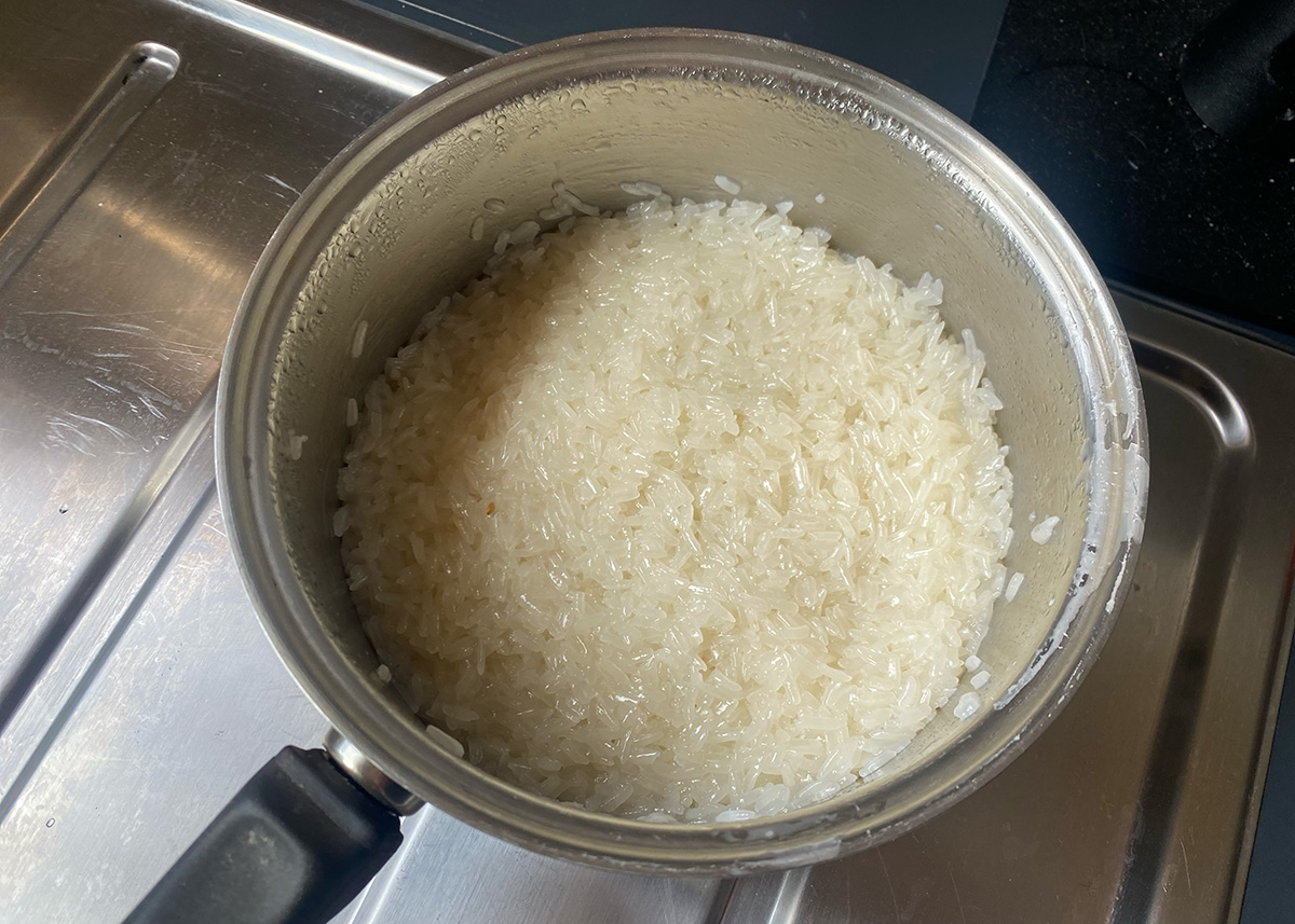 Mango Sticky Rice 4 - CERES Fair Food