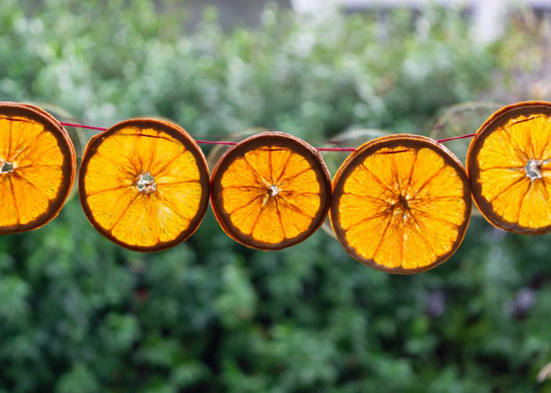 OrangeGarland-2 (1) - CERES Fair Food Dried orange festive garland