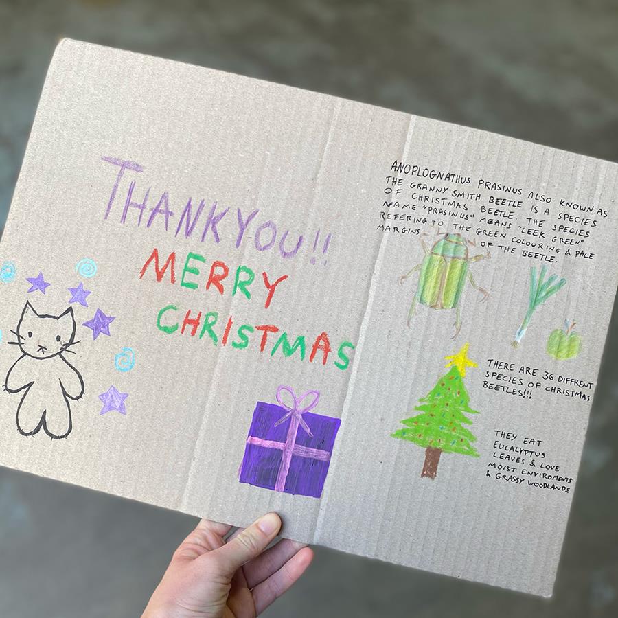 Christmas Beetle thank you message