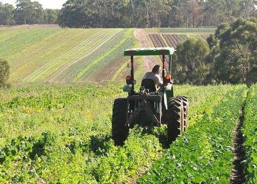 Foothill Organics, Colac