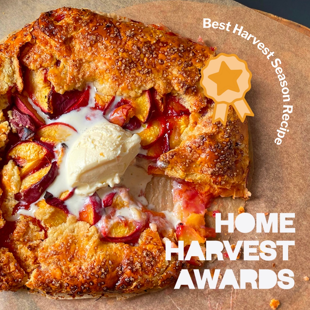 CERES Harvest Festival,  2024 Best recipe comp