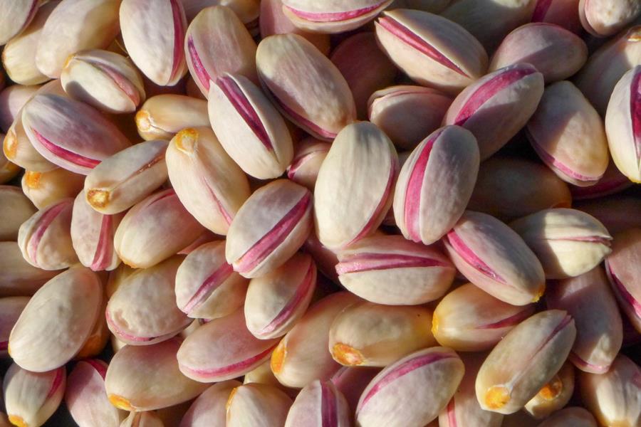 FreshPistachios - CERES Fair Food Fresh pink pistachios in their shell