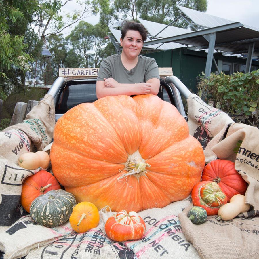 Giant pumpkin competition winner at CERES Harvest Festival