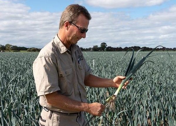 Peter Schreurs, leading Victorian IPM grower