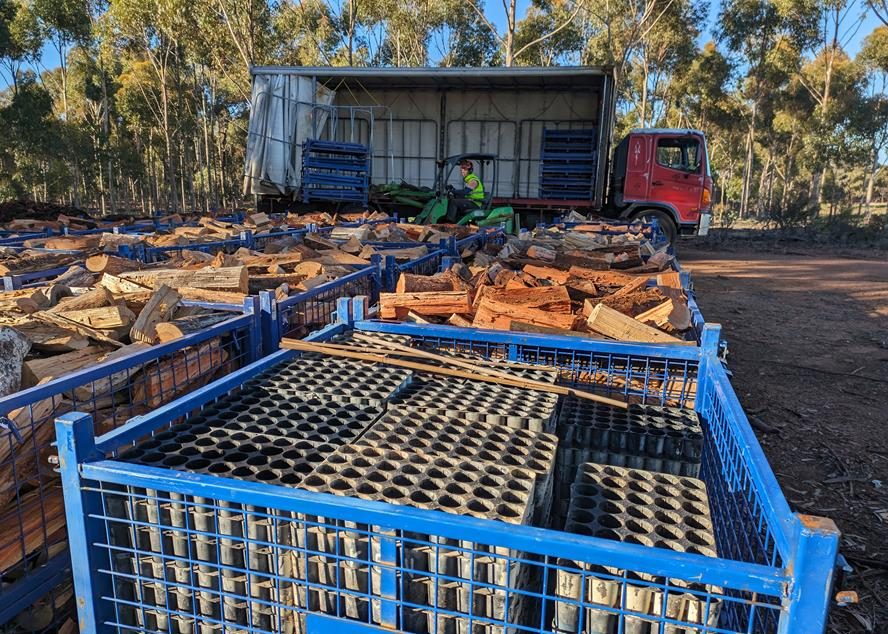 Wood4Good Sustainable Firewood - CERES Fair Wood