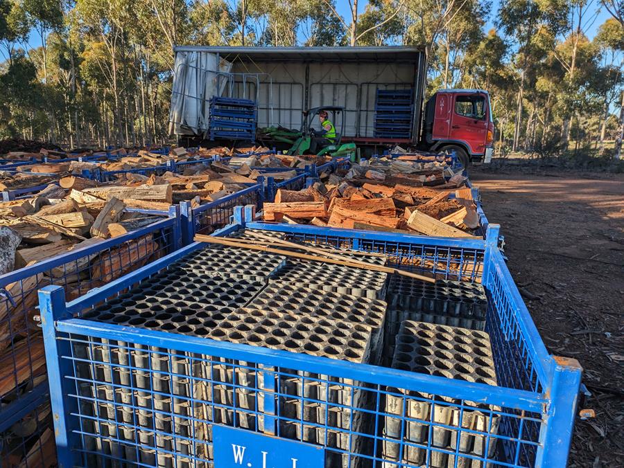 Wood4Good Sustainable Firewood - CERES Fair Wood