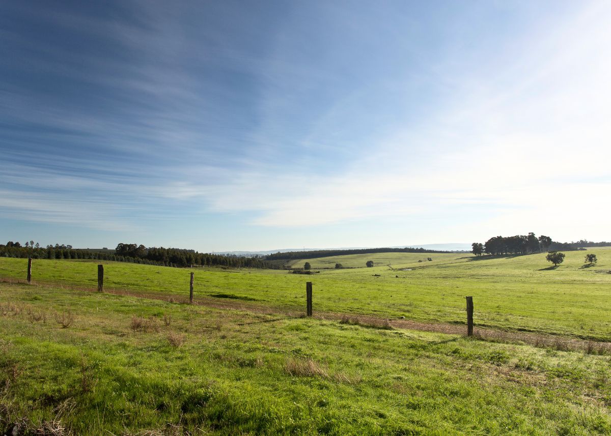 Australian traditional farmland paddock scene with fencing