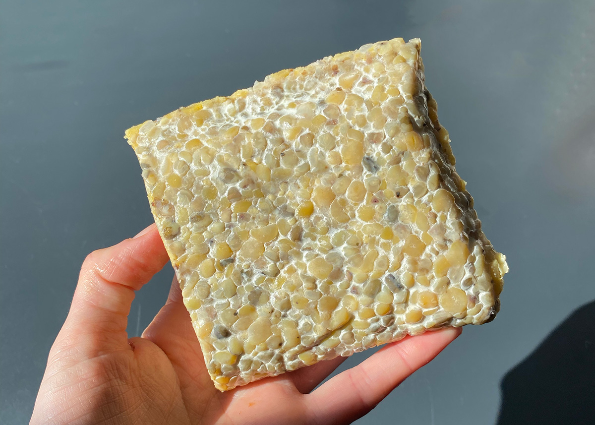 Rich Tempeh Bolognese Rich Tempeh Bolognese