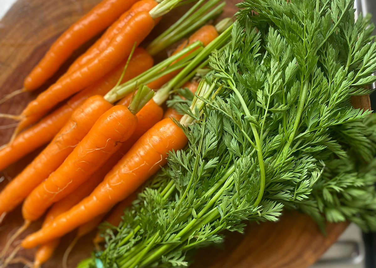 Eat your Stems - carrot tops - pesto 4 crop - CERES Fair Food Carrot top pesto