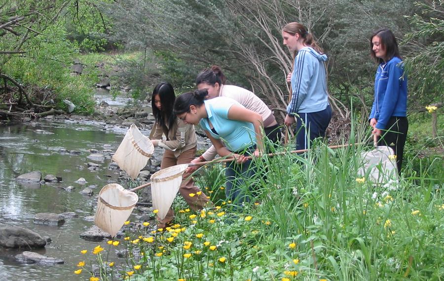 Year 10 students investigating the Merri Creek, CERES School of Nature and Climate
