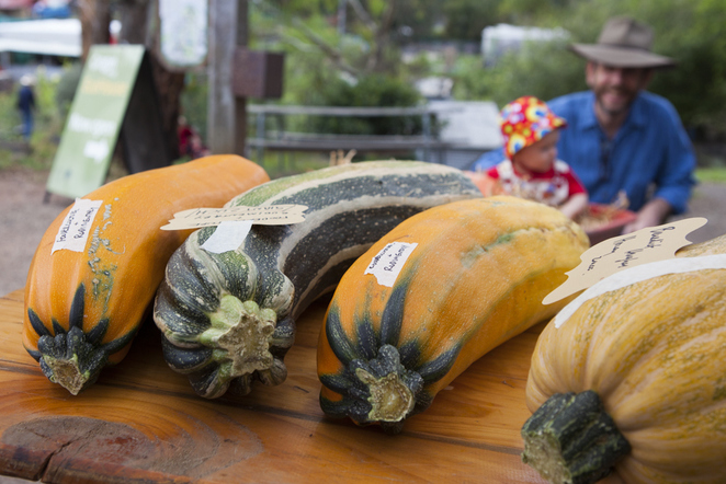 CERES Harvest Festival largest zucchini growing competition entries