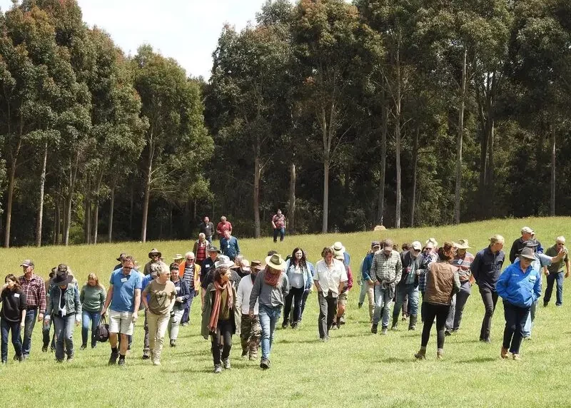 Bambra Agroforestry workshop attendees in the field