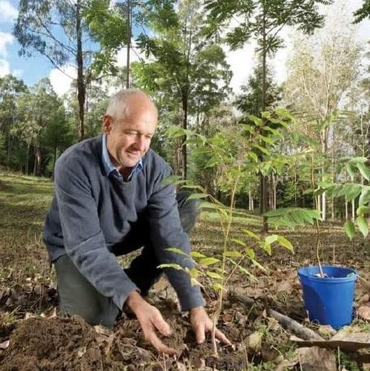 Rowan Reid planting trees