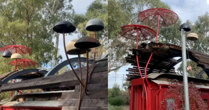 Terra Wonder fungi sculptures