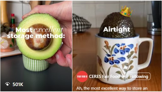 Avocado storage hack going viral