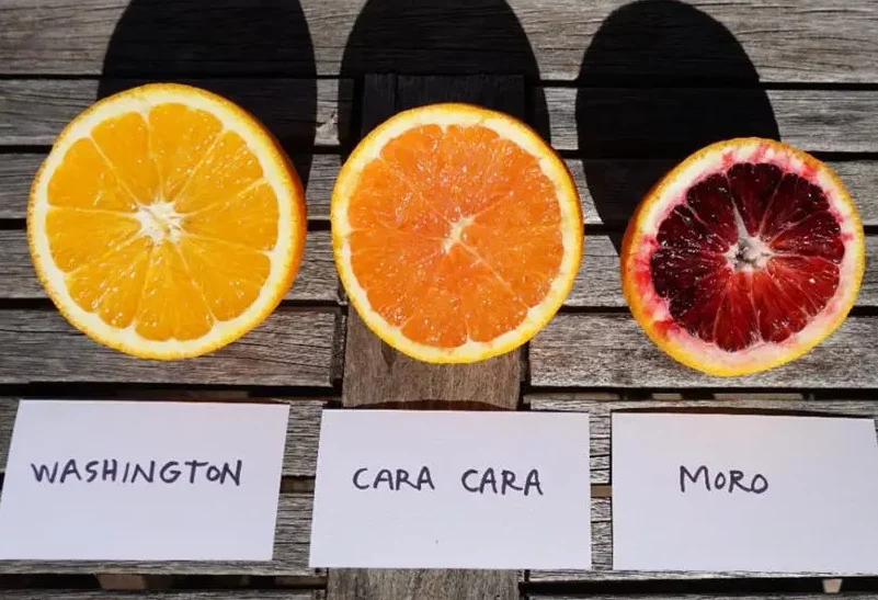 Oranges - Washington Navel Cara Cara Moro