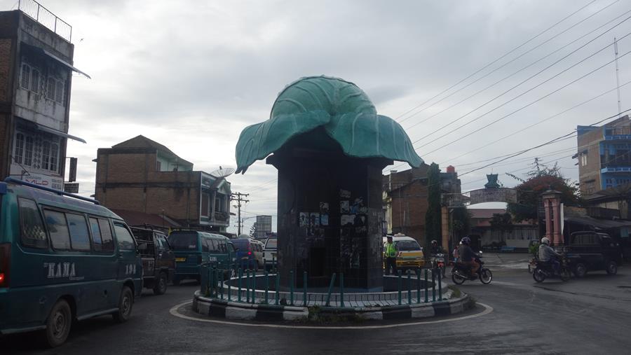 Giant Cabbage of Berastagi